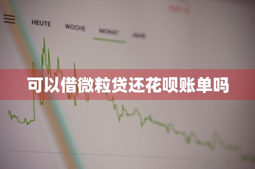 可以借微粒贷还花呗账单吗
