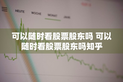 可以随时看股票股东吗 可以随时看股票股东吗知乎