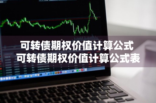 可转债期权价值计算公式 可转债期权价值计算公式表