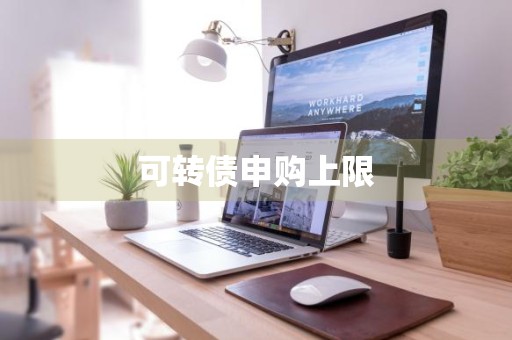 可转债申购上限
