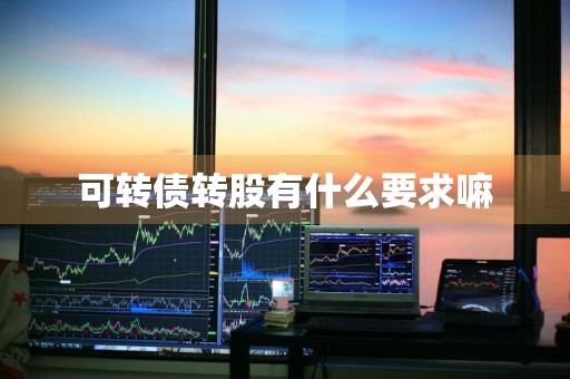 可转债转股有什么要求嘛