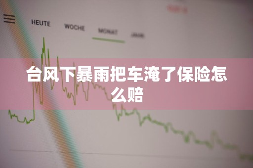 台风下暴雨把车淹了保险怎么赔