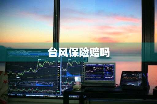 台风保险赔吗