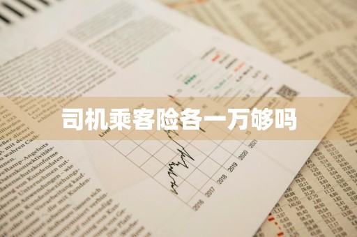 司机乘客险各一万够吗