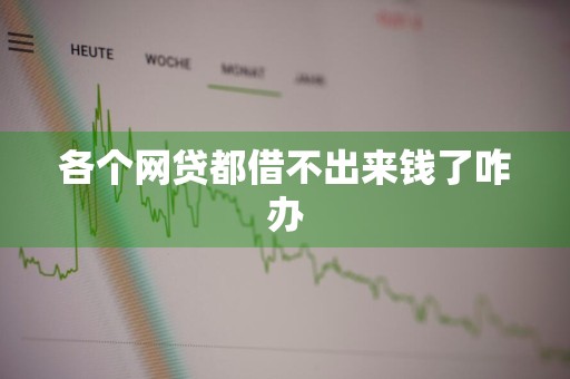 各个网贷都借不出来钱了咋办