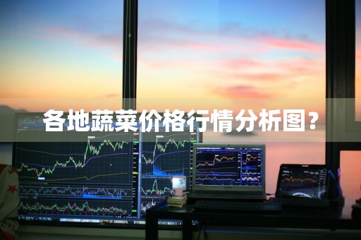 各地蔬菜价格行情分析图？