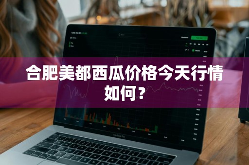 合肥美都西瓜价格今天行情如何？
