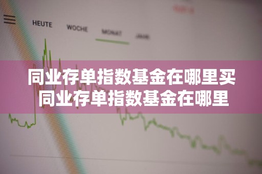 同业存单指数基金在哪里买 同业存单指数基金在哪里买的