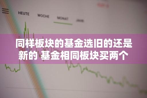 同样板块的基金选旧的还是新的 基金相同板块买两个好吗