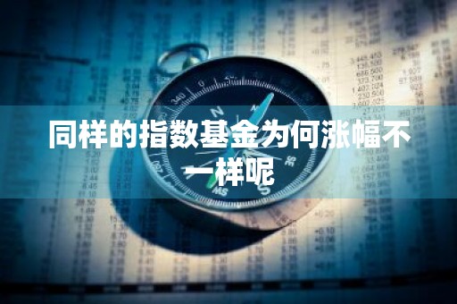 同样的指数基金为何涨幅不一样呢