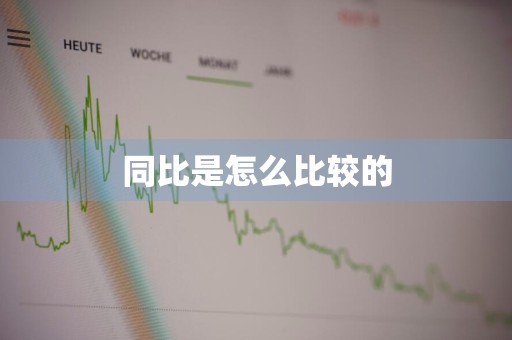 同比是怎么比较的