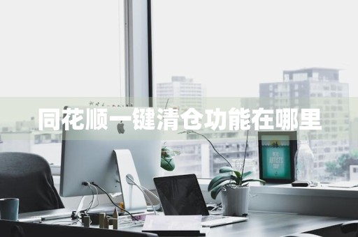 同花顺一键清仓功能在哪里