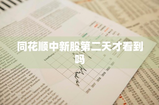 同花顺中新股第二天才看到吗