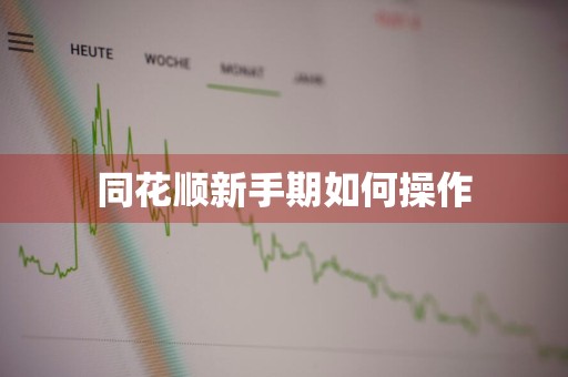 同花顺新手期如何操作