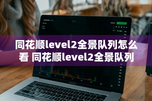 同花顺level2全景队列怎么看 同花顺level2全景队列怎样看到自己的挂单