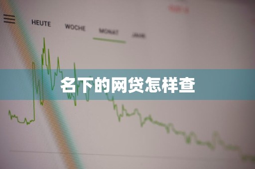 名下的网贷怎样查