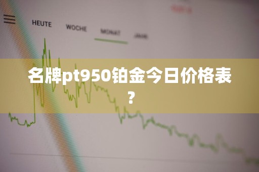名牌pt950铂金今日价格表？