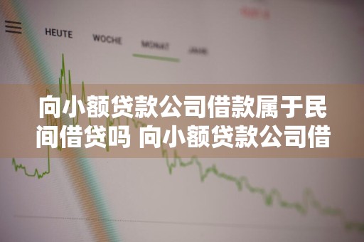 向小额贷款公司借款属于民间借贷吗 向小额贷款公司借款属于民间借贷吗