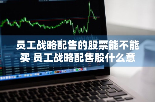 员工战略配售的股票能不能买 员工战略配售股什么意思