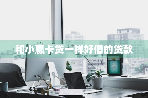 和小赢卡贷一样好借的贷款