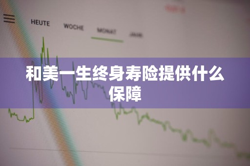 和美一生终身寿险提供什么保障