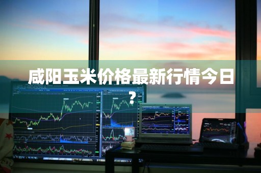 咸阳玉米价格最新行情今日？