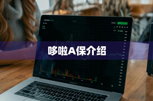 哆啦A保介绍