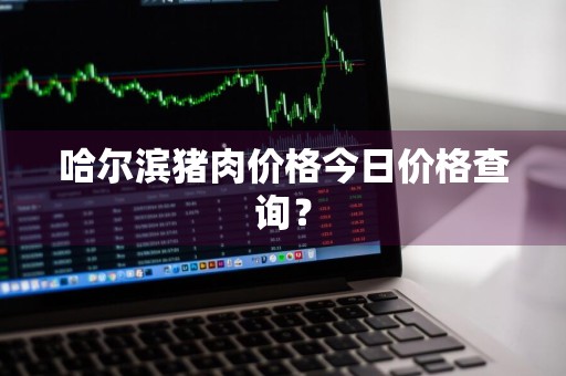 哈尔滨猪肉价格今日价格查询？