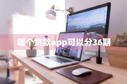 哪个贷款app可以分36期