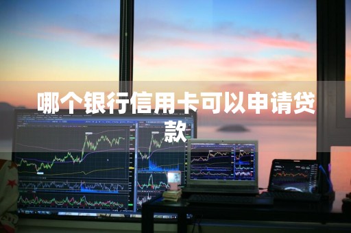 哪个银行信用卡可以申请贷款