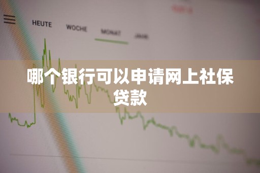 哪个银行可以申请网上社保贷款