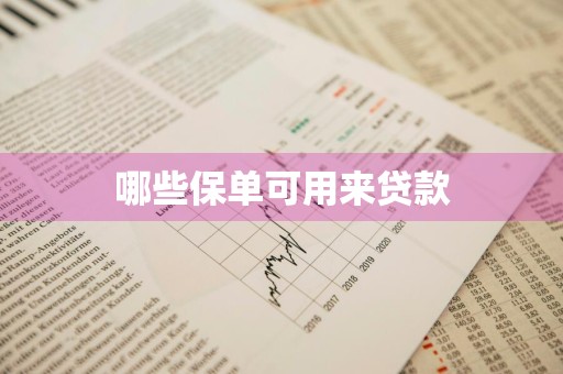 哪些保单可用来贷款