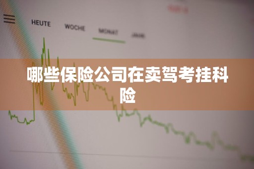 哪些保险公司在卖驾考挂科险