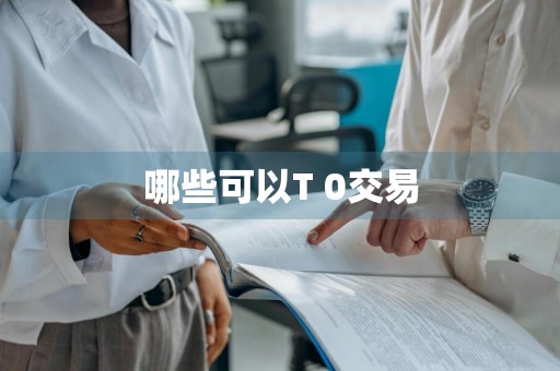 哪些可以T+0交易