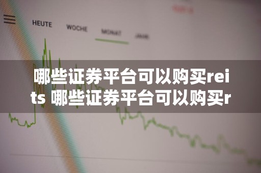 哪些证券平台可以购买reits 哪些证券平台可以购买relts