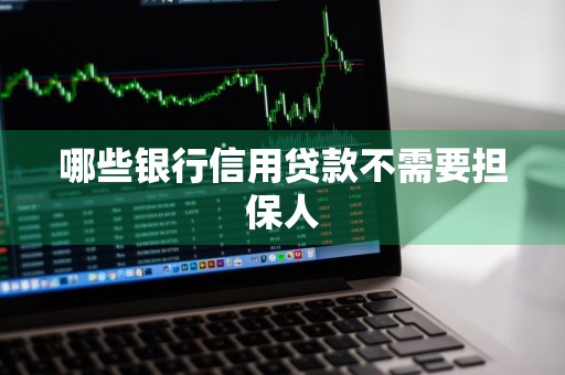 哪些银行信用贷款不需要担保人
