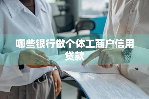 哪些银行做个体工商户信用贷款
