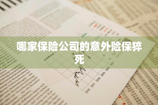 哪家保险公司的意外险保猝死