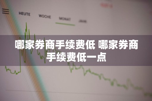 哪家券商手续费低 哪家券商手续费低一点
