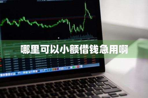 哪里可以小额借钱急用啊