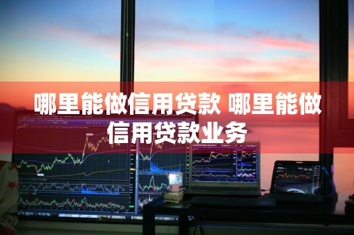 哪里能做信用贷款 哪里能做信用贷款业务