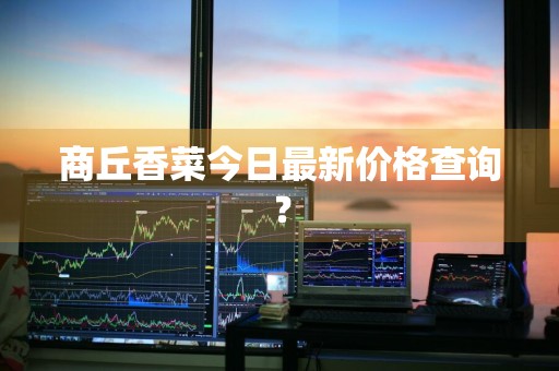 商丘香菜今日最新价格查询？