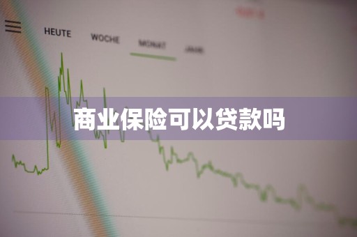 商业保险可以贷款吗