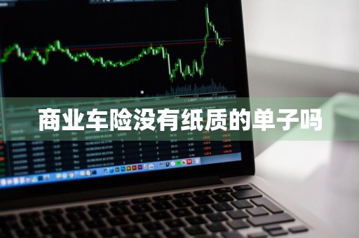 商业车险没有纸质的单子吗