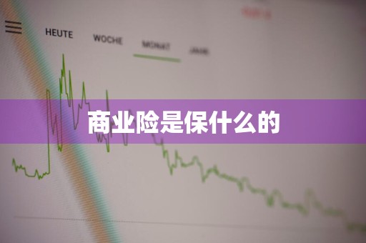 商业险是保什么的