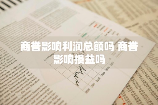 商誉影响利润总额吗 商誉影响损益吗