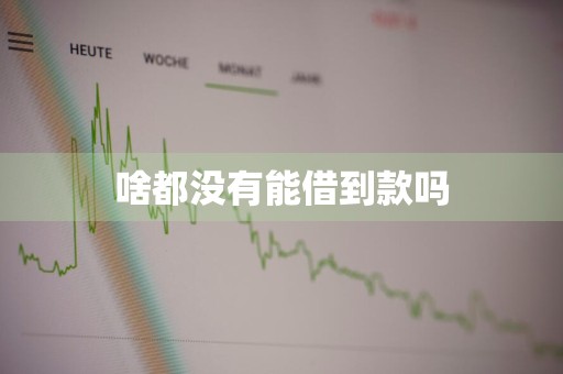 啥都没有能借到款吗