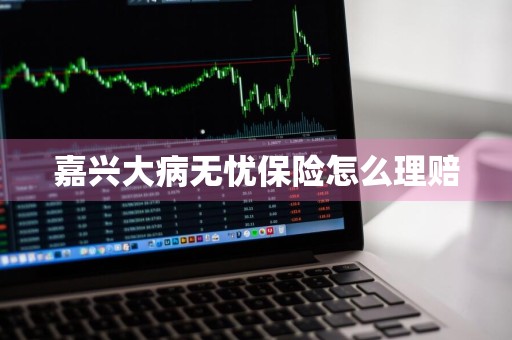 嘉兴大病无忧保险怎么理赔