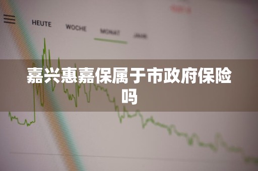 嘉兴惠嘉保属于市政府保险吗