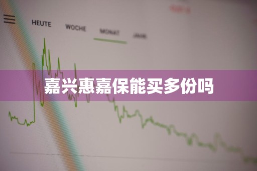 嘉兴惠嘉保能买多份吗